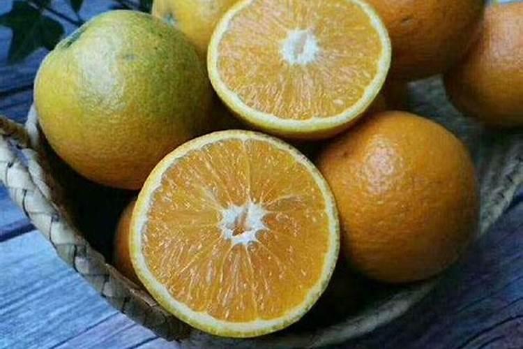 如何种橙子