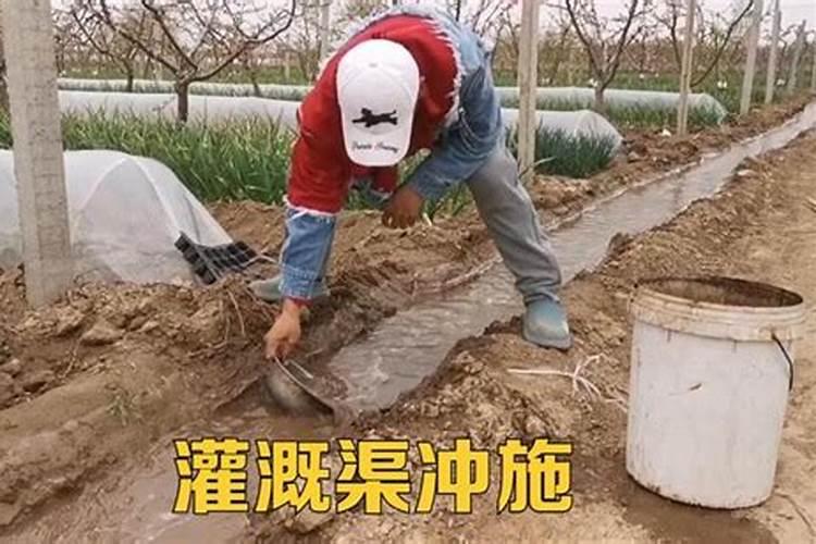 滴灌管的特点及使用注意事项