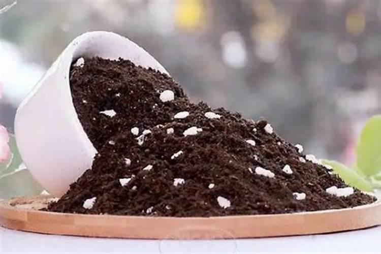 土里花肥放多了,还能直接种花吗？