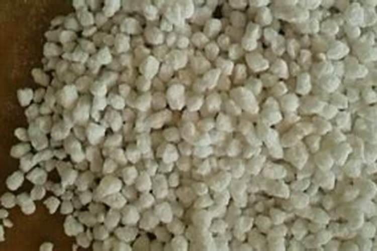 氮肥适合浇什么花