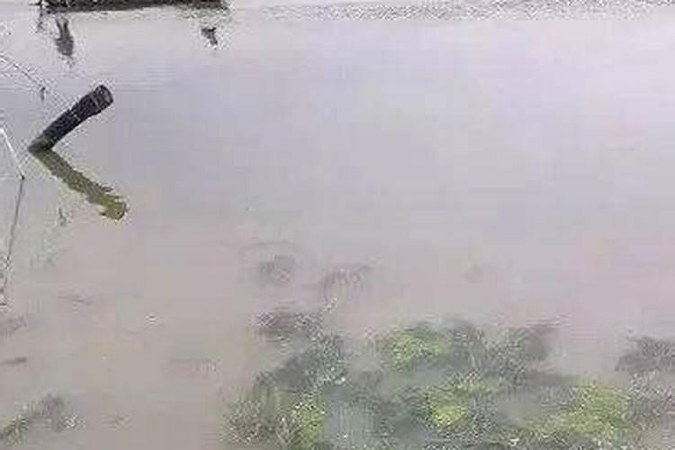 柴达木盆地的主要产物有哪些