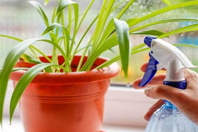 磷酸二氢钾喷施后多久可以用代森锰？