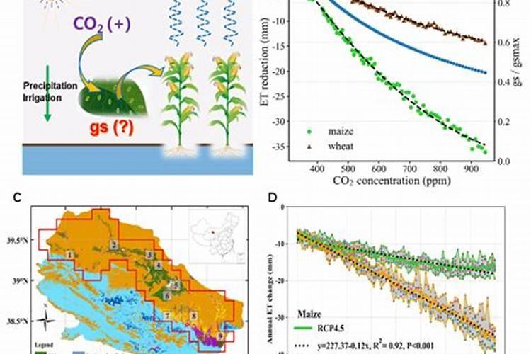 绿氨应用前景化工原料
