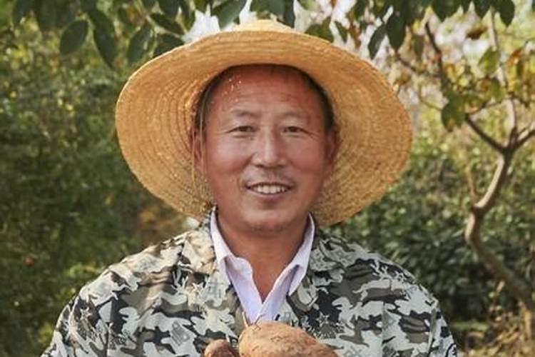 麻山药什么时候施肥最好