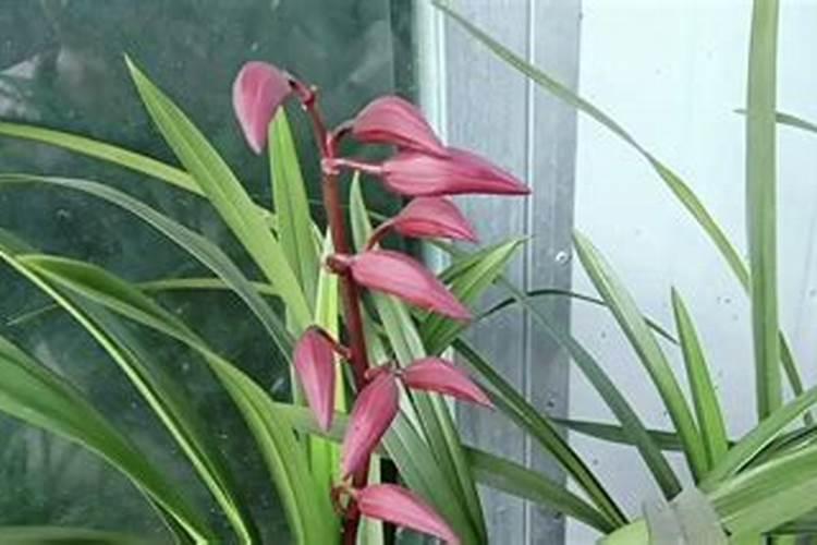 氮肥过多的补救方法