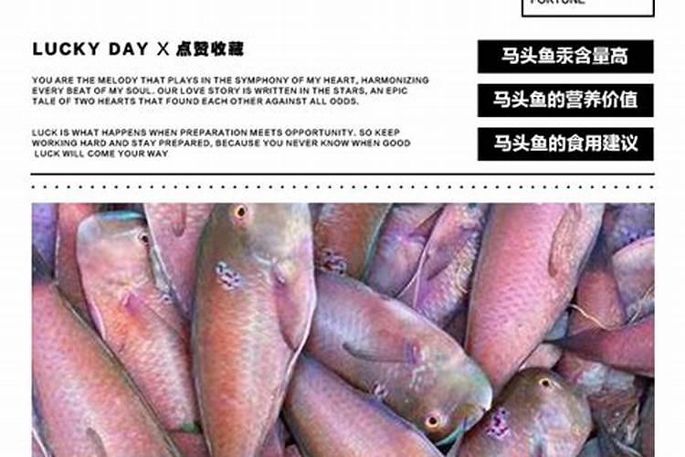 活性炭可以做花土吗