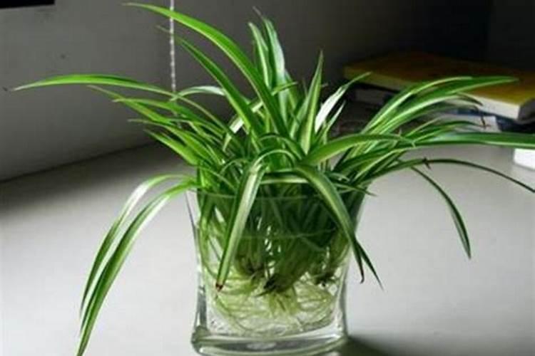 种草莓一亩需要什么肥料,请详细点,不懂勿答