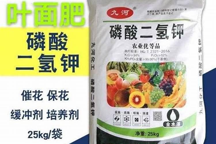 氧化钾肥叶面喷施正确方法