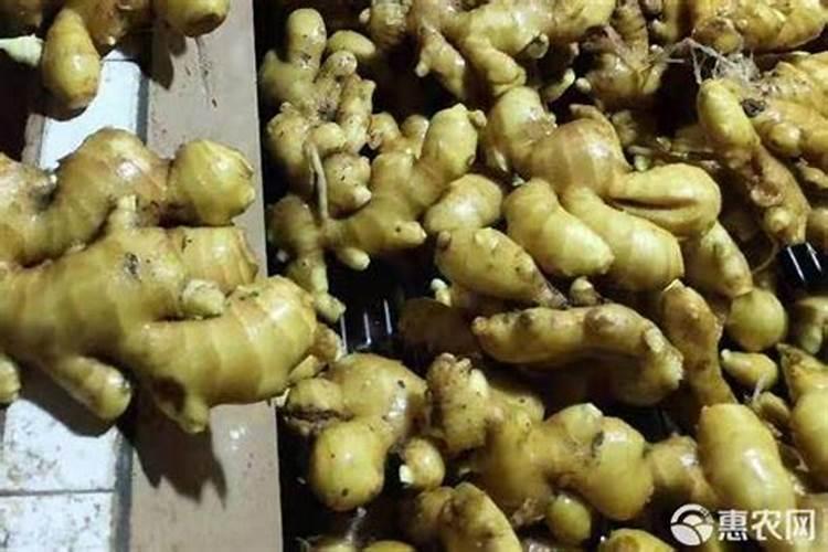 大姜种植的时候,怎么样施肥对大姜生长有利？