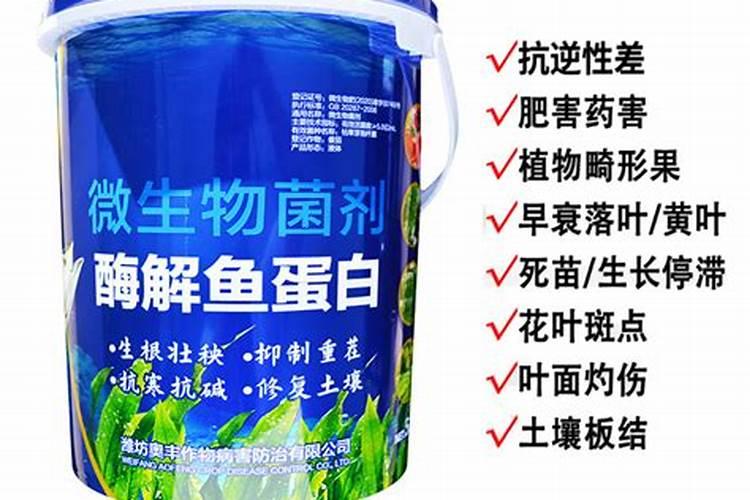 鱼蛋白水溶肥现在怎么用