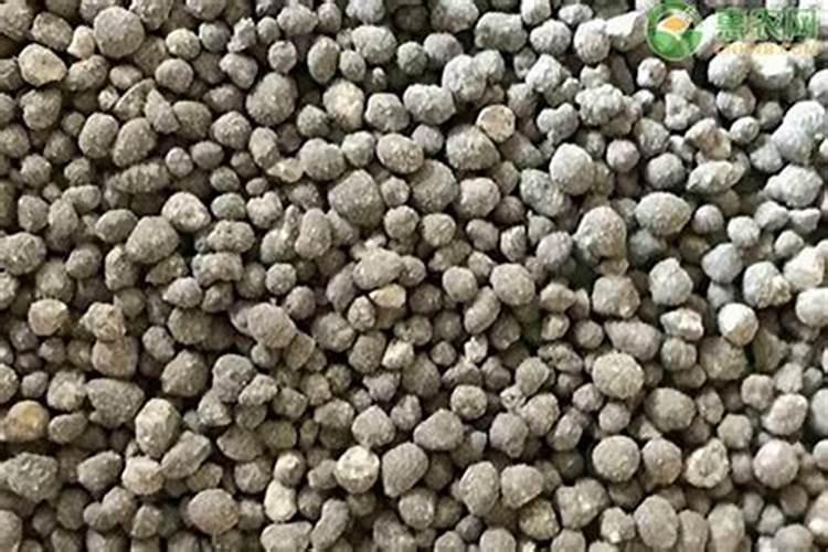 草莓施肥用什么肥料好