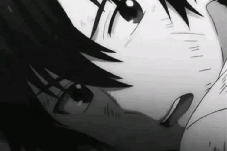 葡萄硼肥什么时候打最好？开花前？还是花期打？