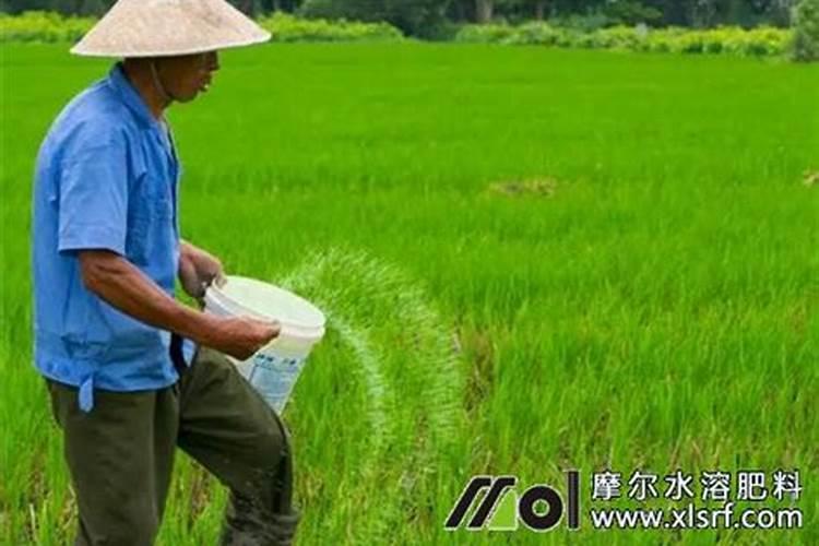 液体氮一亩地喷施多少