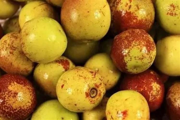 冬枣什么时候用芸苔素最好