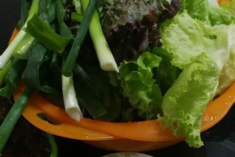 新特能源高管及个人简历