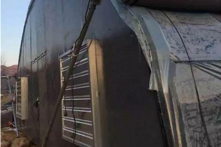 大棚施肥方法及注意事项 大棚施肥方法及注意事项有哪些