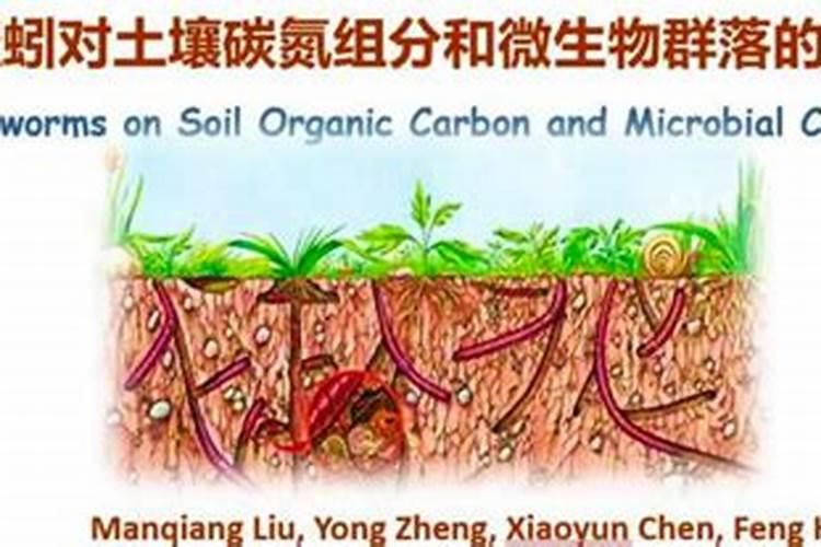 为什么蚯蚓能使泥土肥沃