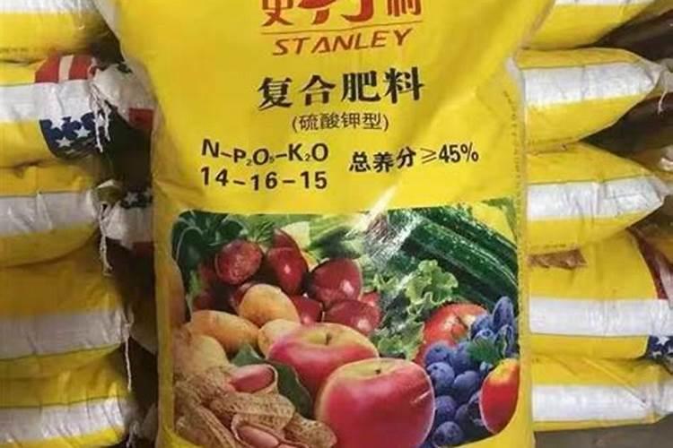 草莓结果的时候要施什么肥