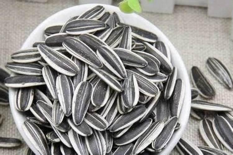 优质蛋白质食物