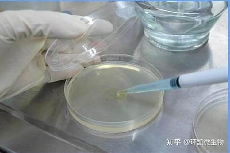 自制水溶肥配比表 水溶肥如何使用