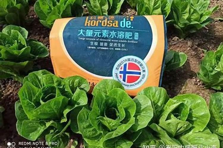 种草莓用什么肥料好 种草莓应该用什么肥料