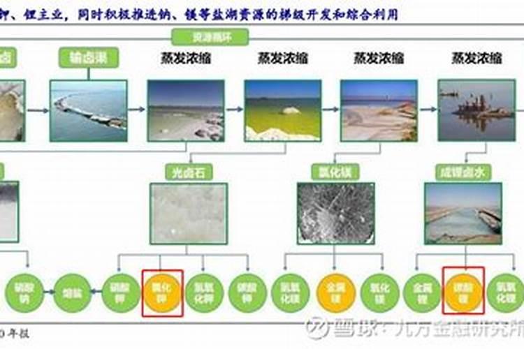 ...如何施肥请问盆栽大叶荆芥开花后需要施肥吗施什么肥好？