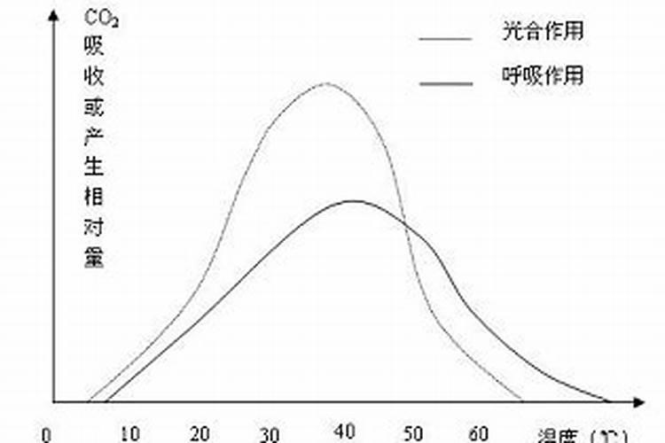 如果水稻施肥过量,会有哪些影响呢？