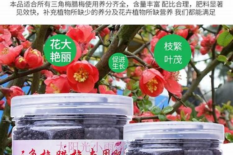 果树缺锌时有哪些症状？