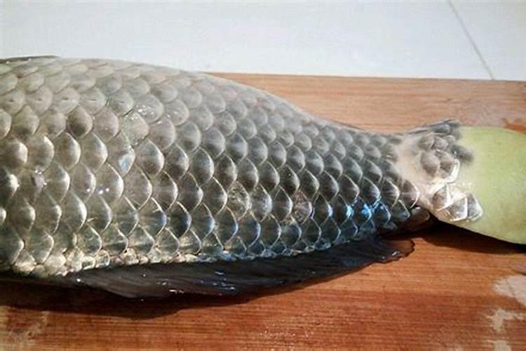 用什么方式可以快速处理鱼鳞