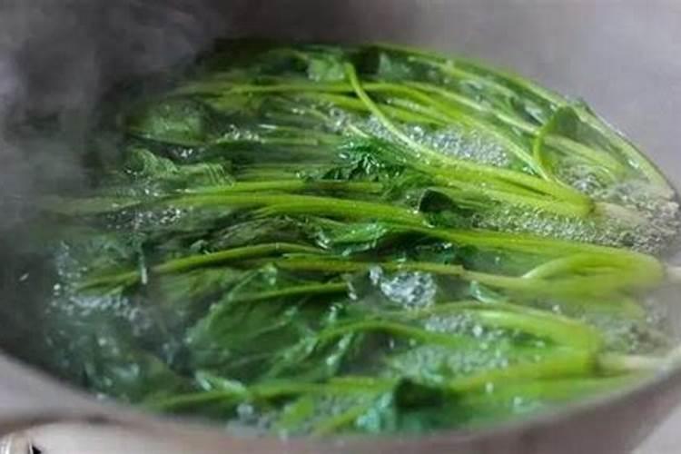 叶面肥药害可以自行恢复吗