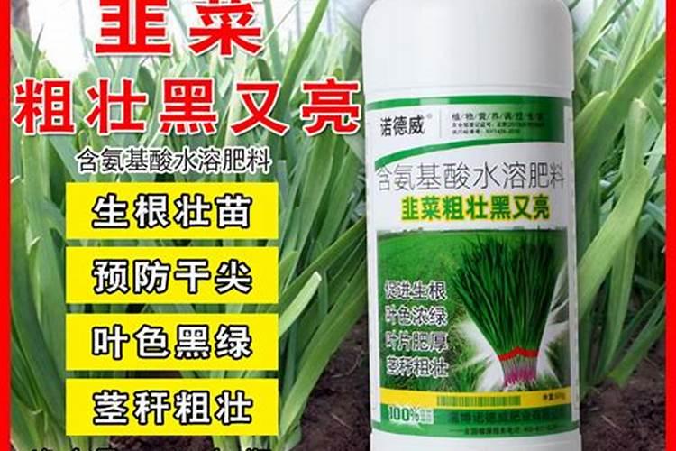 韭菜控旺增粗用什么药