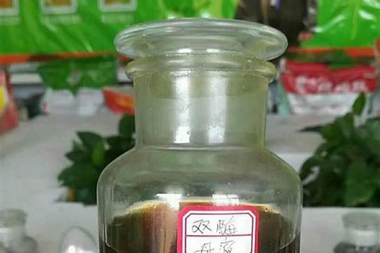 荆门市地立修生物科技有限公司怎么样？