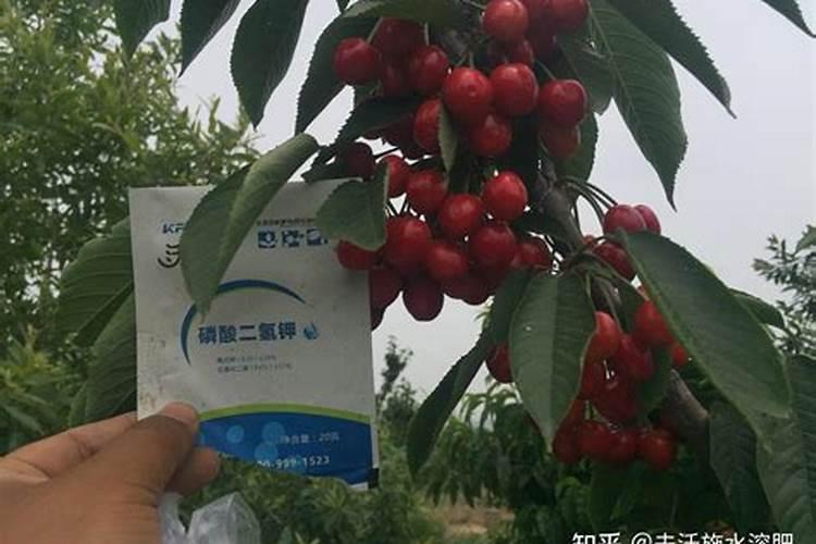 磷酸二氢钾的作用及使用方法及注意事项