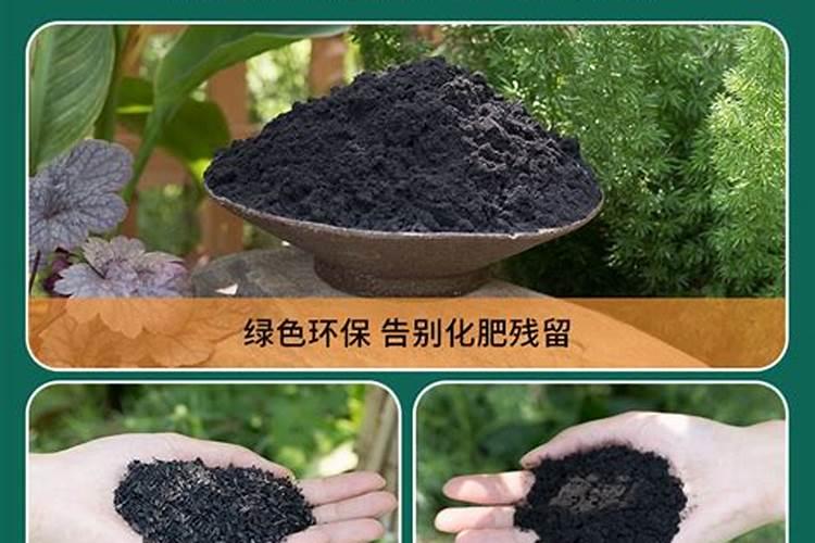 怎样制作草木灰肥料 草木灰做肥料如何施用