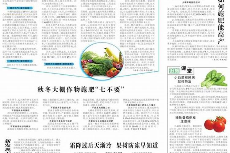 草莓膨果期怎样追施肥料？