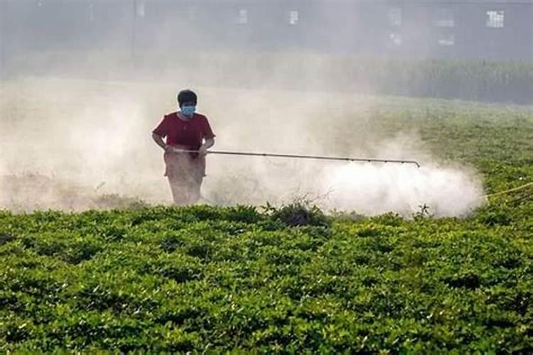 大豆打完除草剂多久可以打叶面肥水？