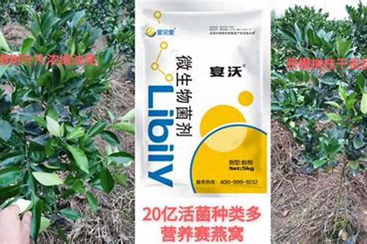 微量元素水溶肥怎么用？为什么要用微肥？