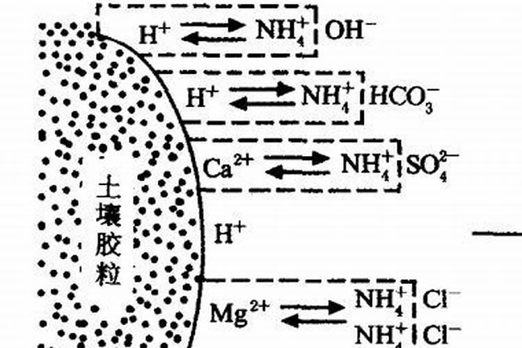种植西瓜能用碳氨吗？