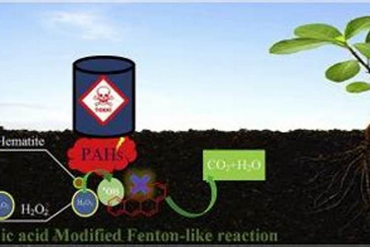 硫酸亚铁和腐植酸效果一样吗