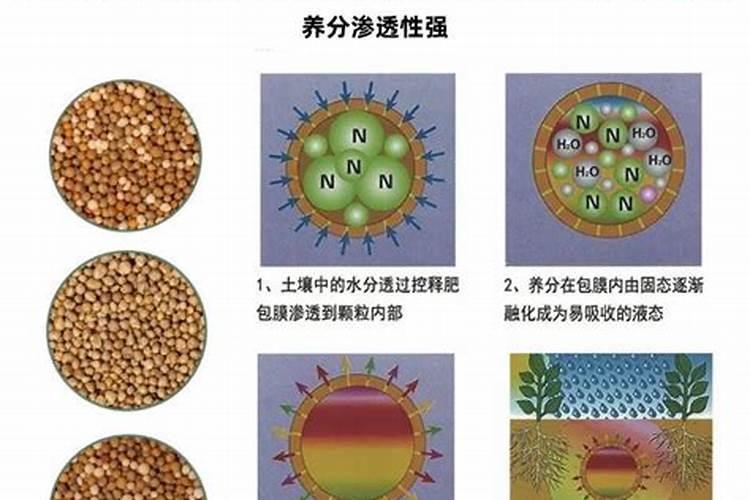 控释肥有几种包膜技术,有什么区别？有什么优点和缺点？