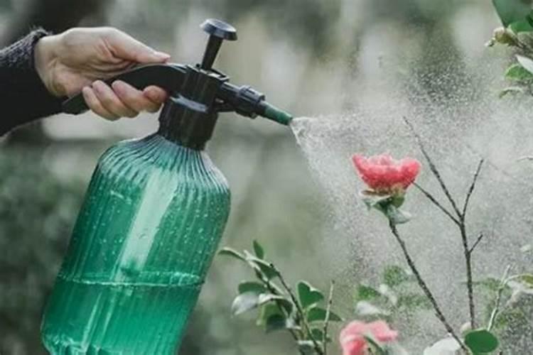 氮肥可以兑水浇花吗