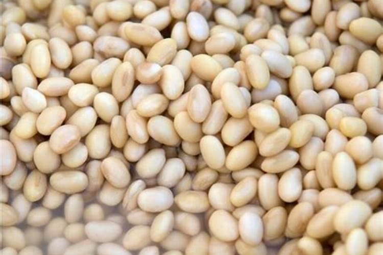 黄豆当肥料施在葡萄秧有什么好处