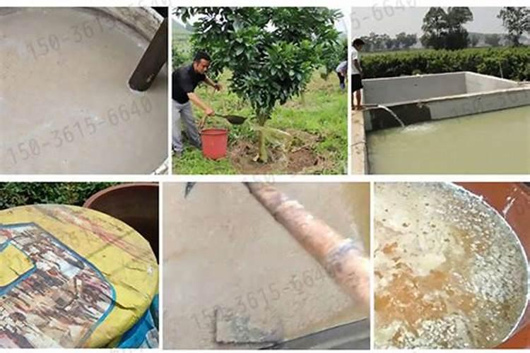 怎样自制磷钾肥 盘点5种家庭自制磷钾肥的方法