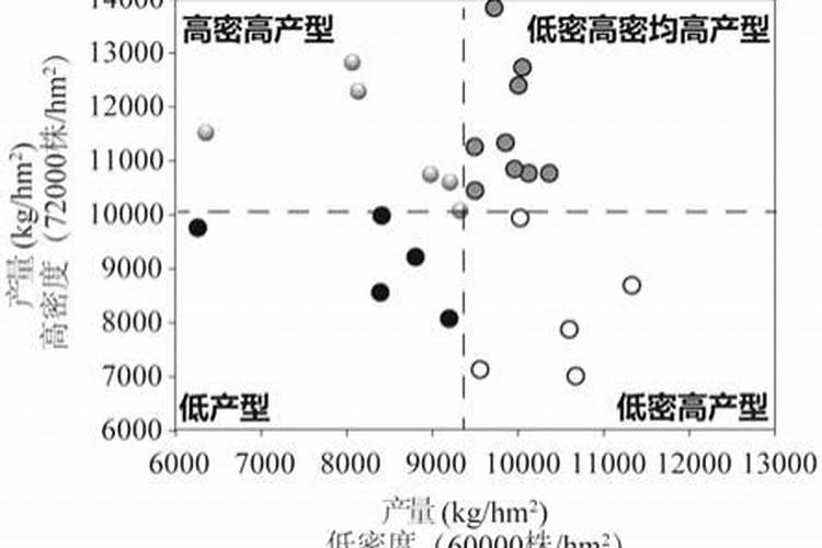 中量元素水溶肥料怎么使用
