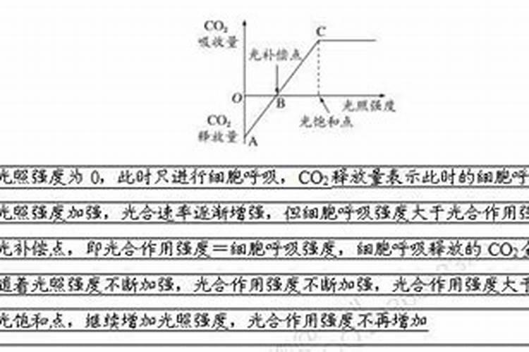 红薯施什么肥产量高