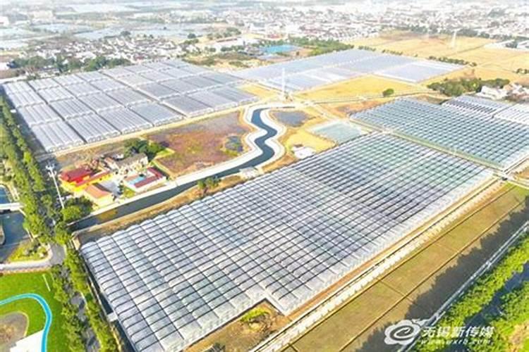 无锡哪里卖田园土沙壤土