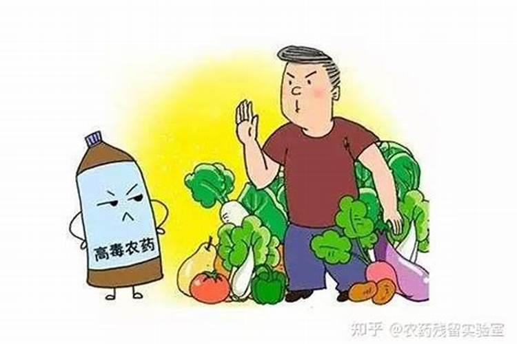 大葱常见于我们的生活当中,怎样种植出优质高产的大葱？