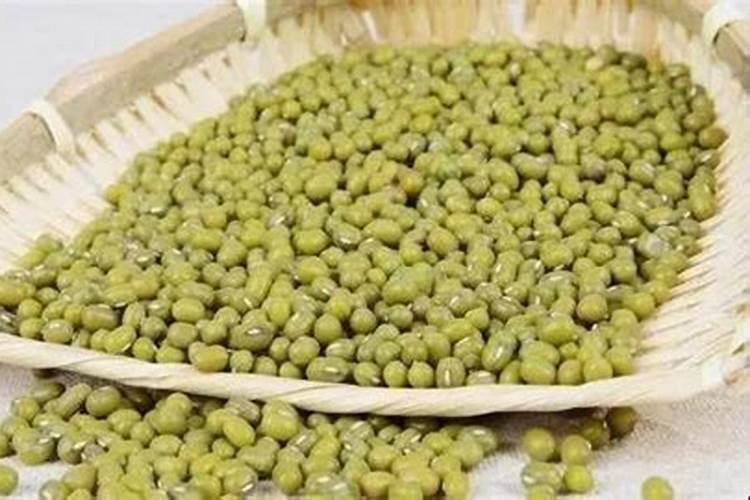 天然有机氮肥有哪些有机氮肥是什么