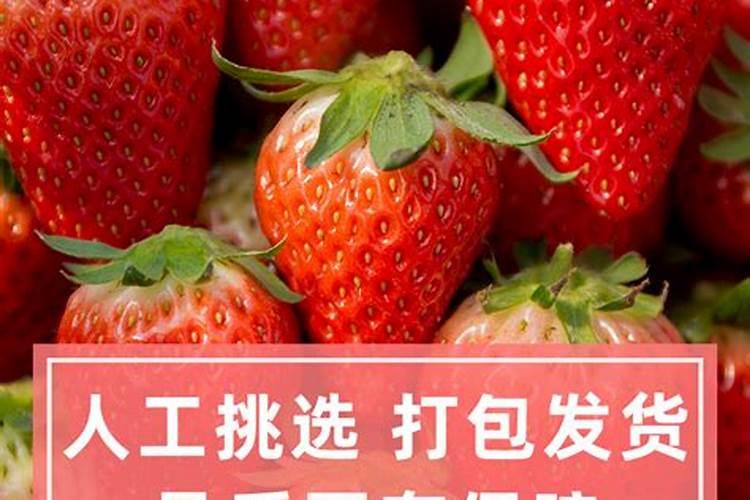 如何促进草莓花芽分化？