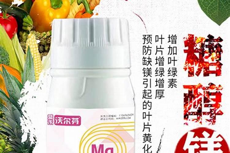 蔬菜长期施用镁肥什么后果